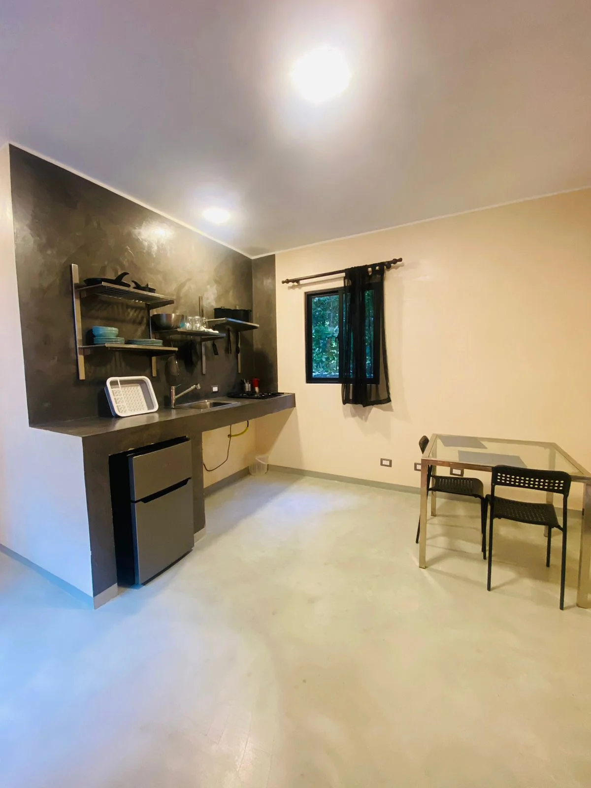 One bedroom apartment pet friendly - photo 2