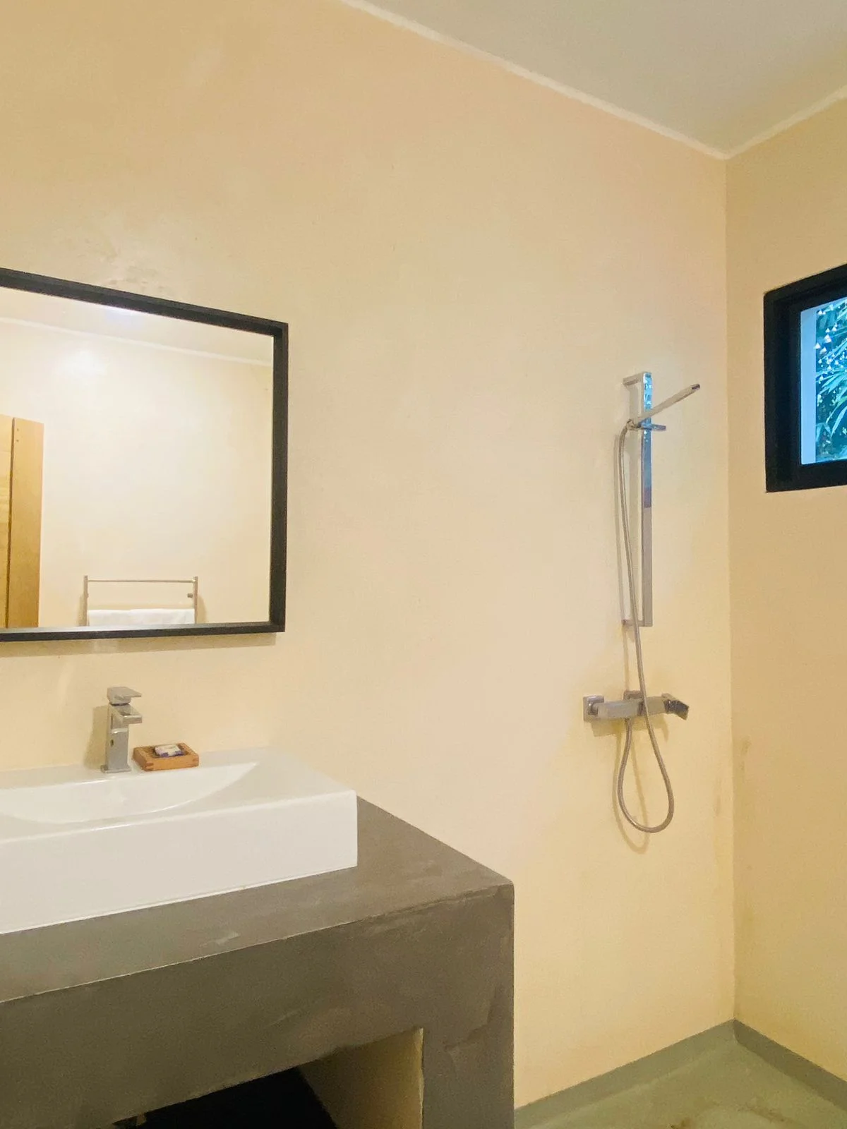 One bedroom apartment pet friendly - photo 6